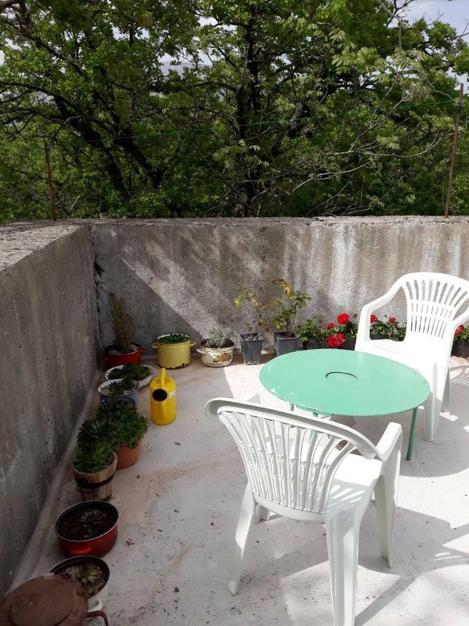 Apartman Milica Golubic  Kültér fotó