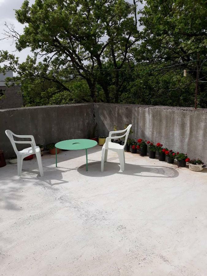 Apartman Milica Golubic  Kültér fotó