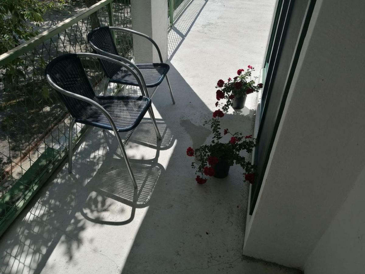 Apartman Milica Golubic  Kültér fotó